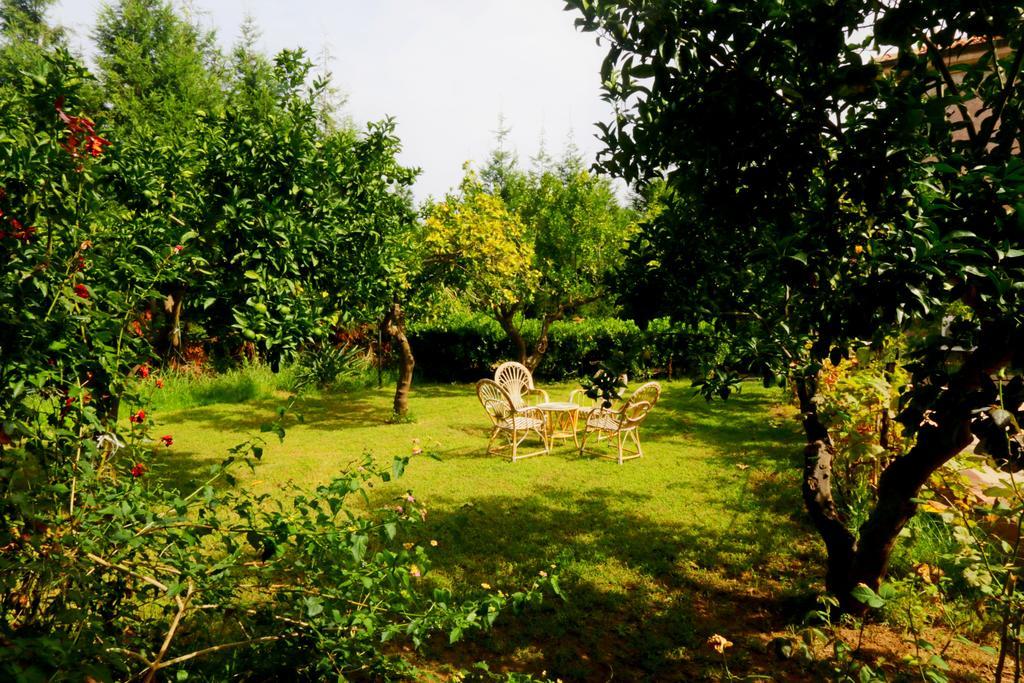 Residenza La Vigna Aparthotel Паргелия Екстериор снимка