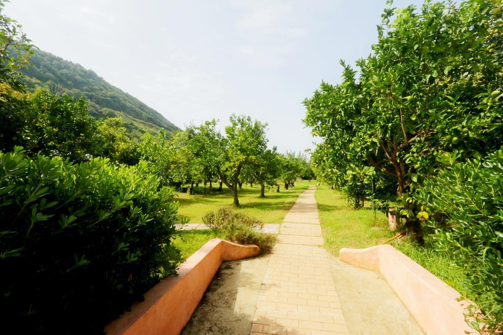 Residenza La Vigna Aparthotel Паргелия Екстериор снимка